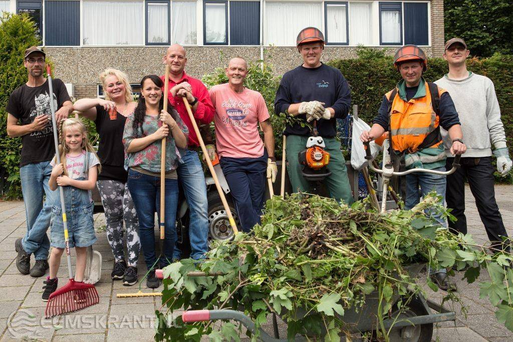 schoon japanesse klein in de buurt Delfzijl schoon japanesse klein in de buurt Delfzijl