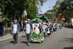 Papiercorso-Appingedam_7609