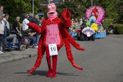 Papiercorso-Appingedam_7862