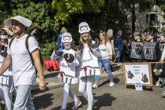 Papiercorso-Appingedam_8141