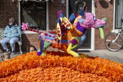 Papiercorso-Appingedam_9610