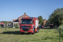 Paard-in-de-sloot-Termunterzijl_7581