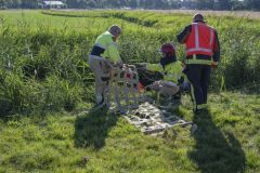 Paard-in-de-sloot-Termunterzijl_7608