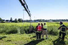 Paard-in-de-sloot-Termunterzijl_7686