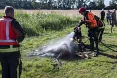 Paard-in-de-sloot-Termunterzijl_7729