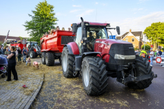 Normaal-Siddeburen_3966