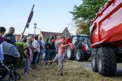 Normaal-Siddeburen_4004