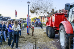 Normaal-Siddeburen_4060