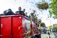 Normaal-Siddeburen_4075