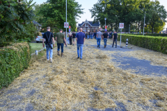 Normaal-Siddeburen_4377