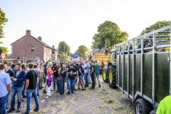 Normaal-Siddeburen_4432