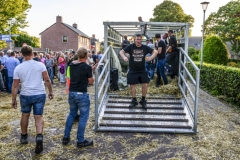 Normaal-Siddeburen_4449