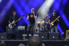 Normaal-Siddeburen_4638