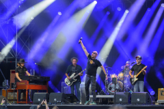 Normaal-Siddeburen_4655