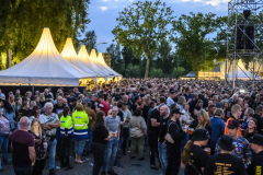 Normaal-Siddeburen_4706