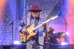 Normaal-Siddeburen_4911