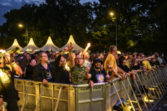 Normaal-Siddeburen_5355