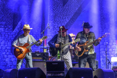 Normaal-Siddeburen_5460