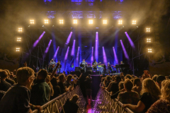 Normaal-Siddeburen_5519