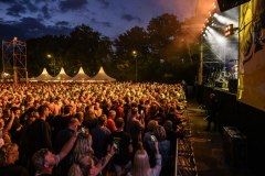 Normaal-Siddeburen_5582