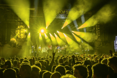 Normaal-Siddeburen_5831