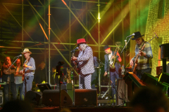 Normaal-Siddeburen_6171