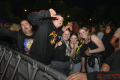 Normaal-Siddeburen_6355