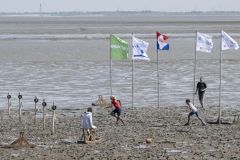 Zotte-zondag-Pinksteren_4916