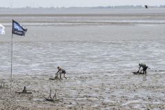 Zotte-zondag-Pinksteren_4923