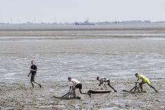 Zotte-zondag-Pinksteren_5021