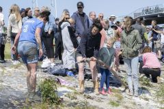 Zotte-zondag-Pinksteren_5210