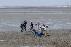 Zotte-zondag-Pinksteren_5310