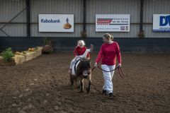 Jubileumshow-Voltigevereniging-de-Eemsrakkers_2176