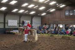 Jubileumshow-Voltigevereniging-de-Eemsrakkers_2219