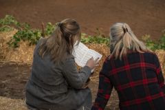 Jubileumshow-Voltigevereniging-de-Eemsrakkers_2285