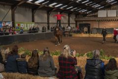 Jubileumshow-Voltigevereniging-de-Eemsrakkers_2306