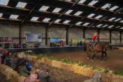 Jubileumshow-Voltigevereniging-de-Eemsrakkers_2320