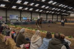 Jubileumshow-Voltigevereniging-de-Eemsrakkers_2362