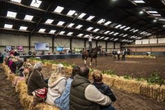 Jubileumshow-Voltigevereniging-de-Eemsrakkers_2379