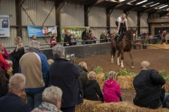 Jubileumshow-Voltigevereniging-de-Eemsrakkers_2400