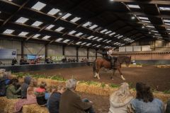 Jubileumshow-Voltigevereniging-de-Eemsrakkers_2425