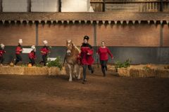 Jubileumshow-Voltigevereniging-de-Eemsrakkers_2455