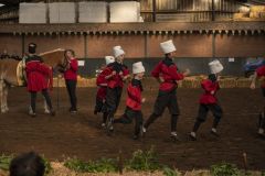 Jubileumshow-Voltigevereniging-de-Eemsrakkers_2482