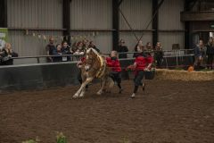 Jubileumshow-Voltigevereniging-de-Eemsrakkers_2499