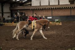 Jubileumshow-Voltigevereniging-de-Eemsrakkers_2504