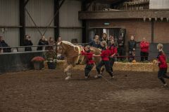 Jubileumshow-Voltigevereniging-de-Eemsrakkers_2522