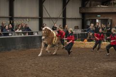 Jubileumshow-Voltigevereniging-de-Eemsrakkers_2524