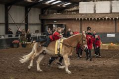 Jubileumshow-Voltigevereniging-de-Eemsrakkers_2532