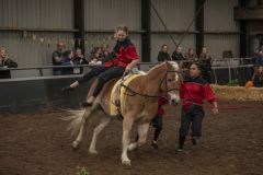 Jubileumshow-Voltigevereniging-de-Eemsrakkers_2586