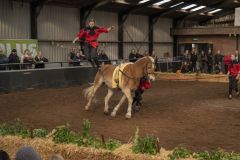 Jubileumshow-Voltigevereniging-de-Eemsrakkers_2609